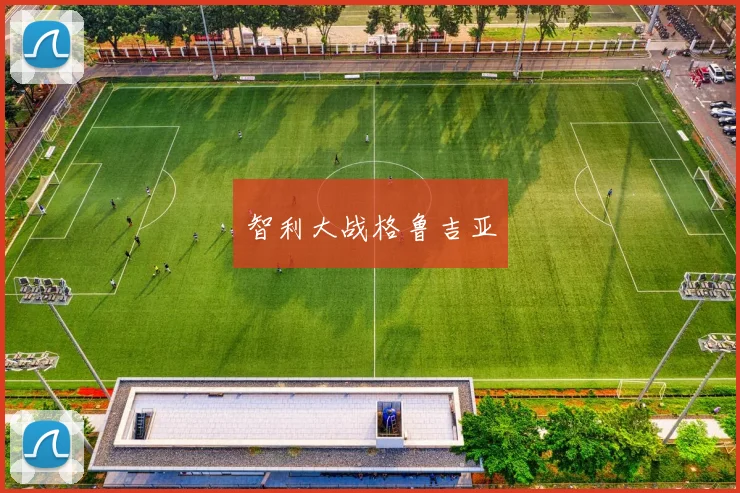 智利大战格鲁吉亚