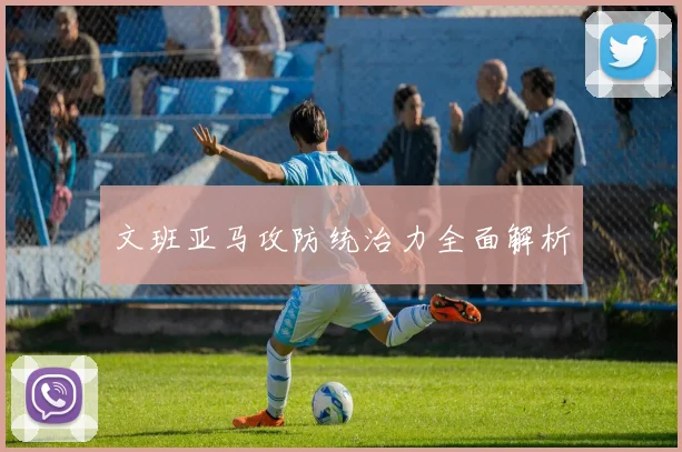 文班亚马攻防统治力全面解析