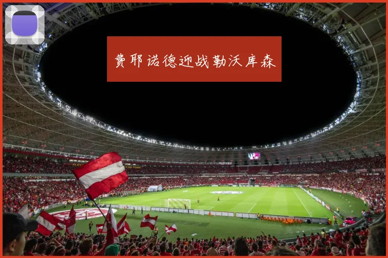 费耶诺德迎战勒沃库森