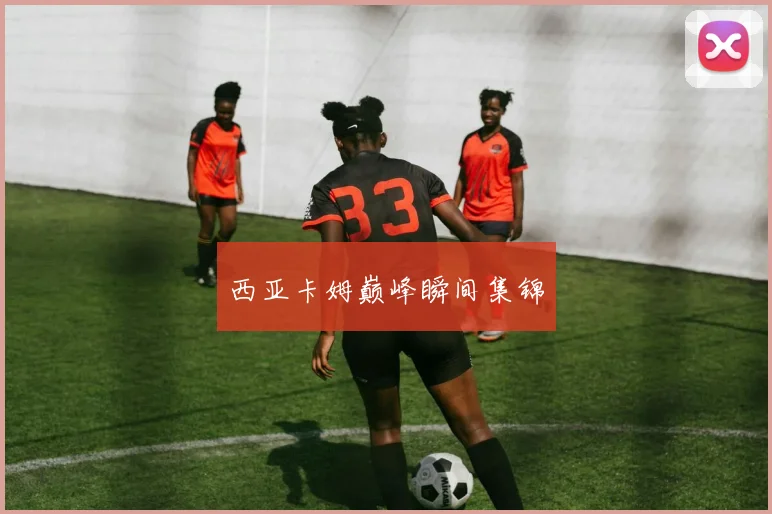 西亚卡姆巅峰瞬间集锦