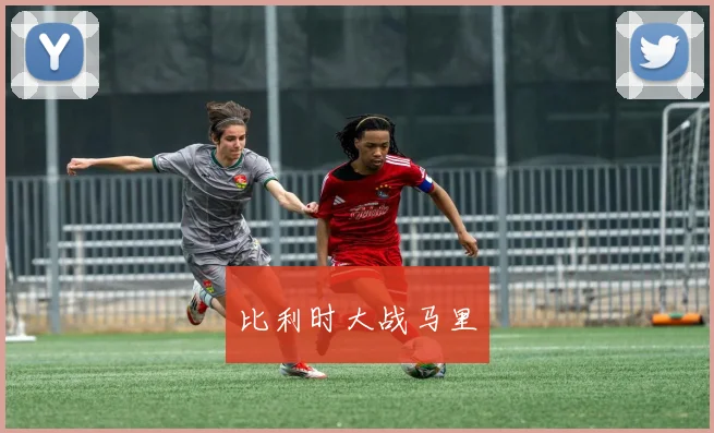 比利时大战马里