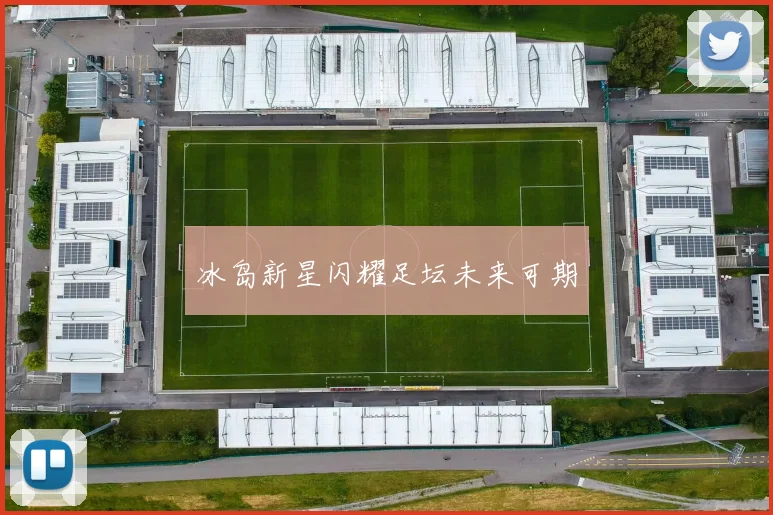 冰岛新星闪耀足坛未来可期