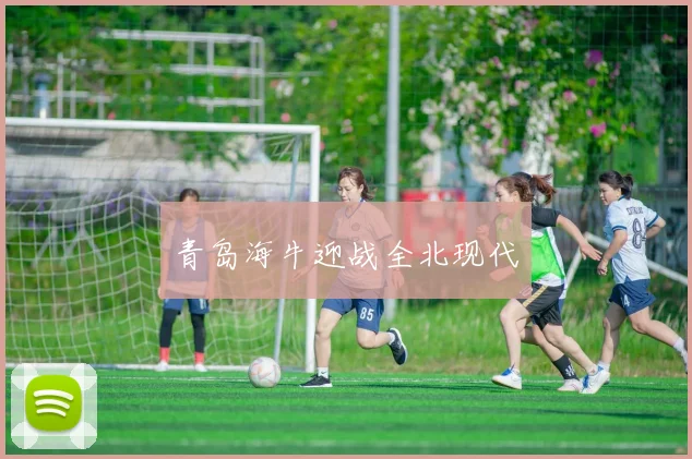 青岛海牛迎战全北现代