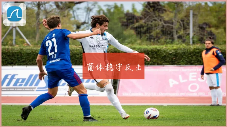 葡体稳守反击