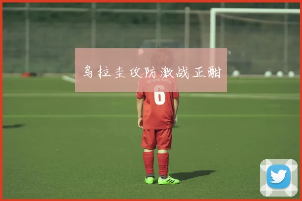 乌拉圭攻防激战正酣