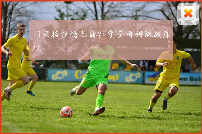 门兴格拉德巴赫vs霍芬海姆欧战席位
