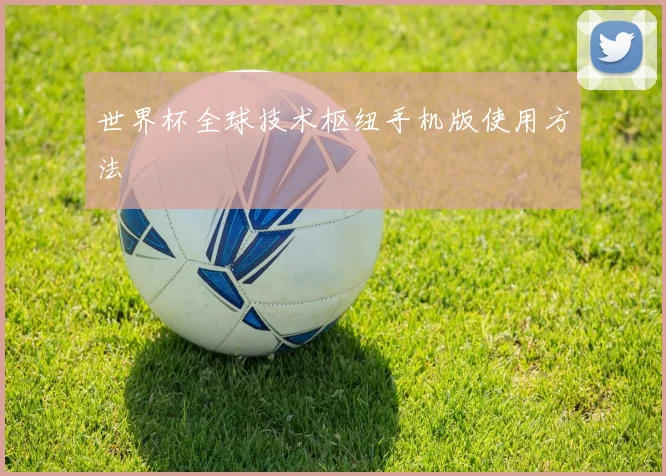 世界杯全球技术枢纽手机版使用方法