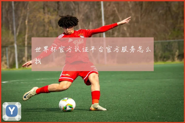 世界杯官方认证平台官方服务怎么找