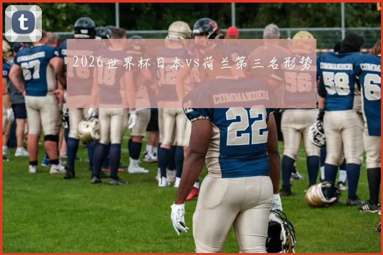 2026世界杯日本vs荷兰第三名形势